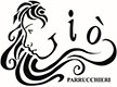 Gio Parrucchieri Logo